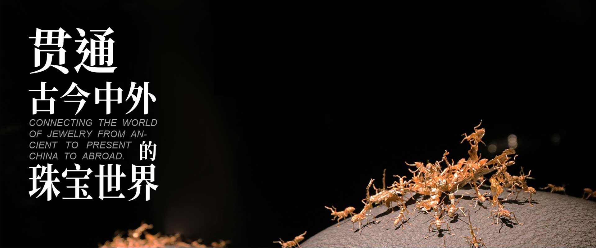 首页banner2