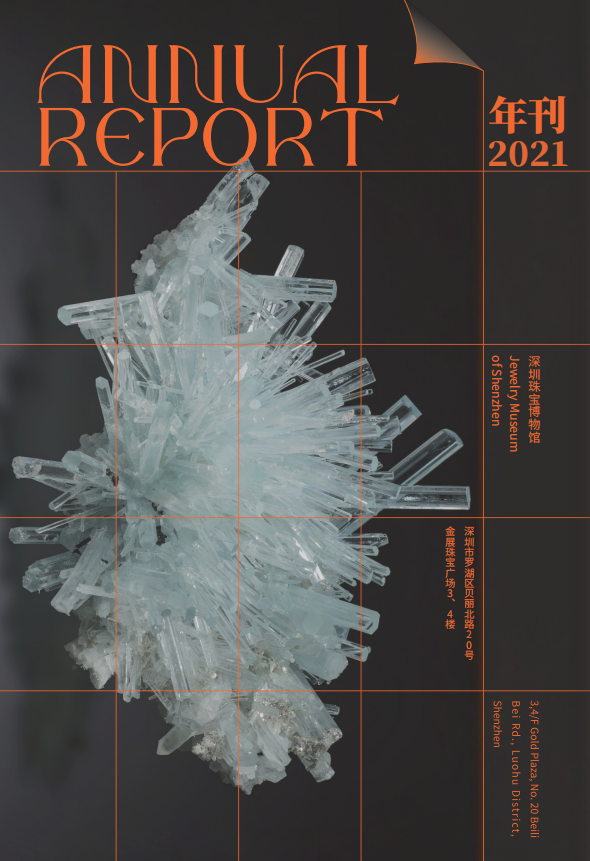 年报2021